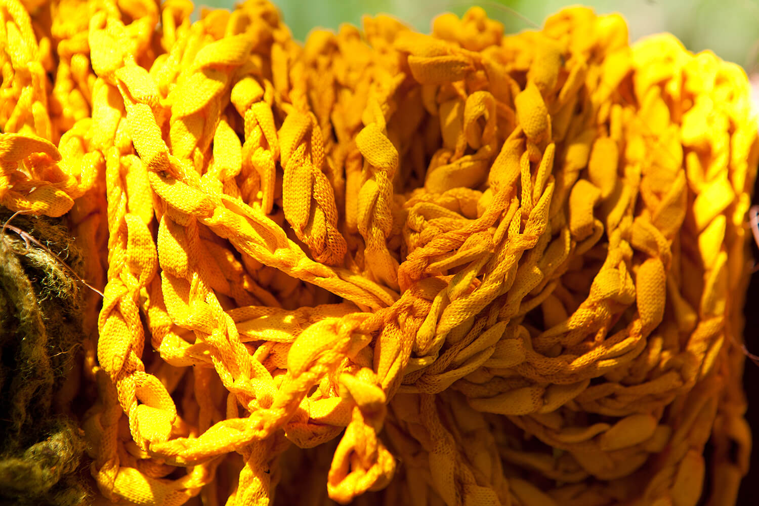 CURCUMA_galeria 42_MG_7105.jpg
